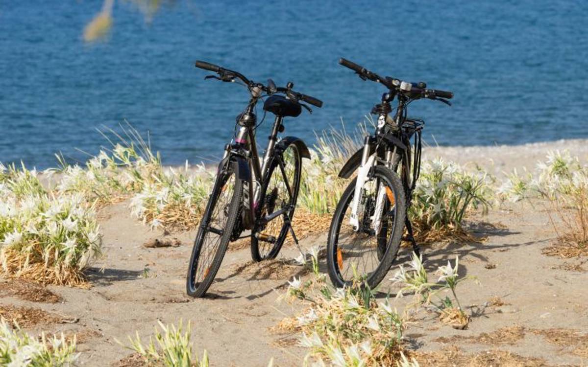 Mirthea Suites Mirthios Plakias South Crete Experiences Excursions 1390GAVA5685